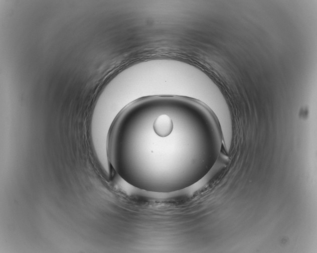 X0000089950268200707201932