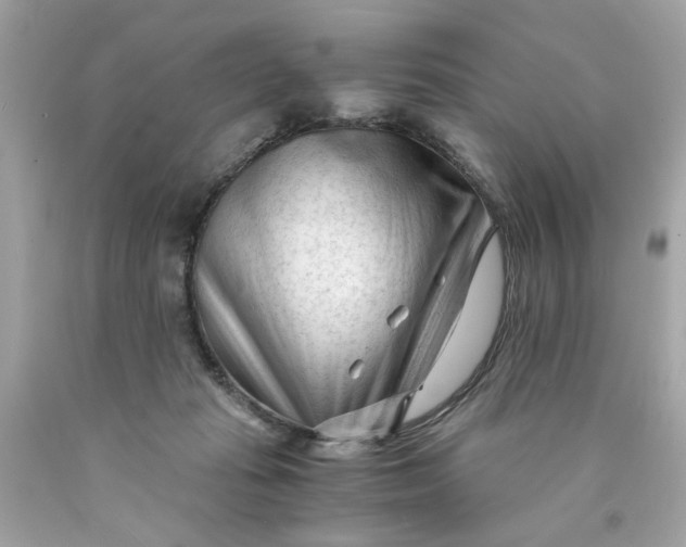 X0000089950269200707201932