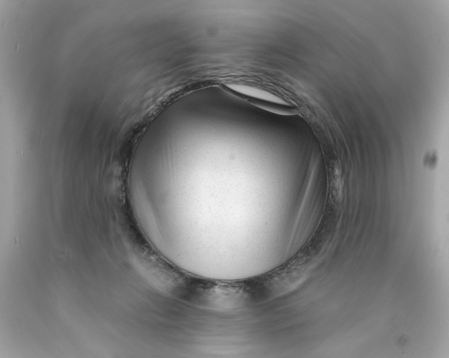 X0000089950270200707201932