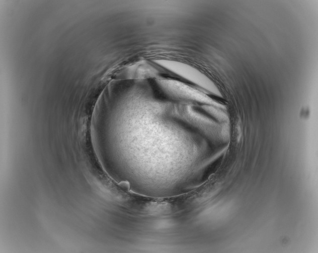 X0000089950271200707201932