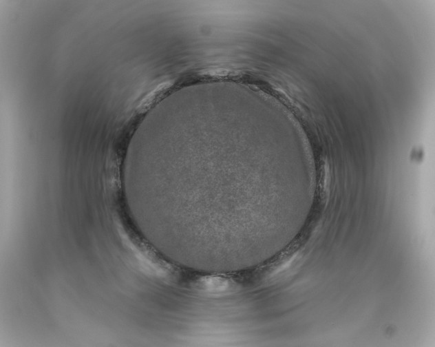 X0000089950272200707201932