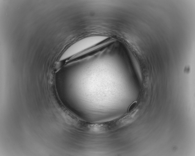 X0000089950273200707201932