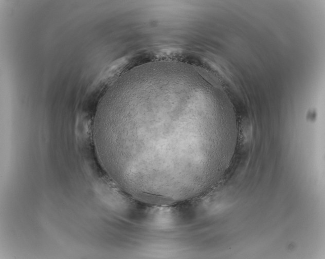 X0000089950276200707201932