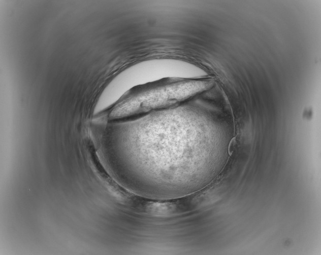 X0000089950277200707201932