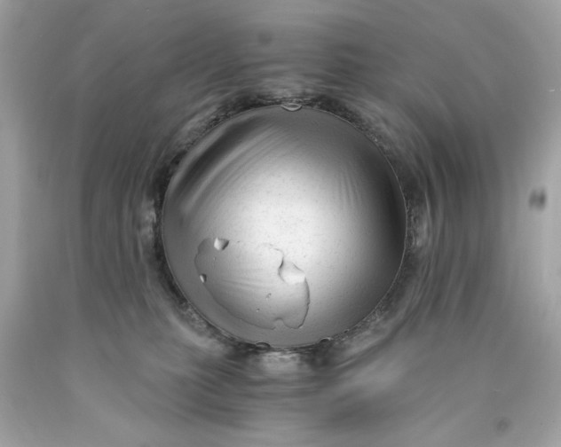 X0000089950279200707201932