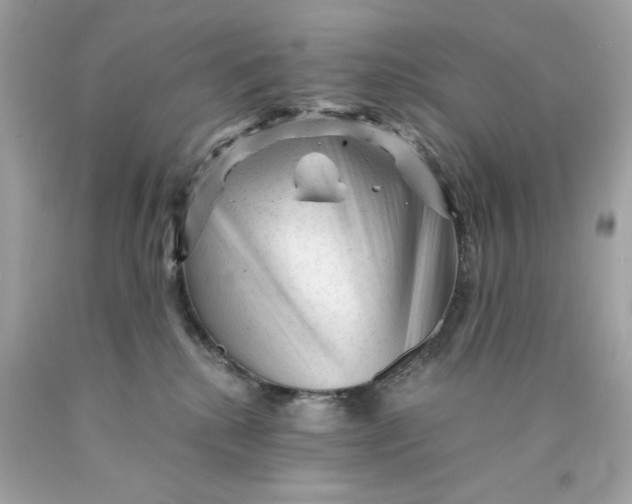 X0000089950280200707201932