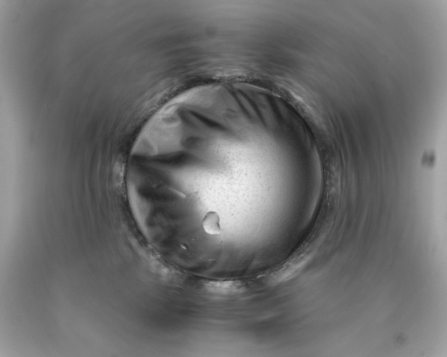 X0000089950281200707201932