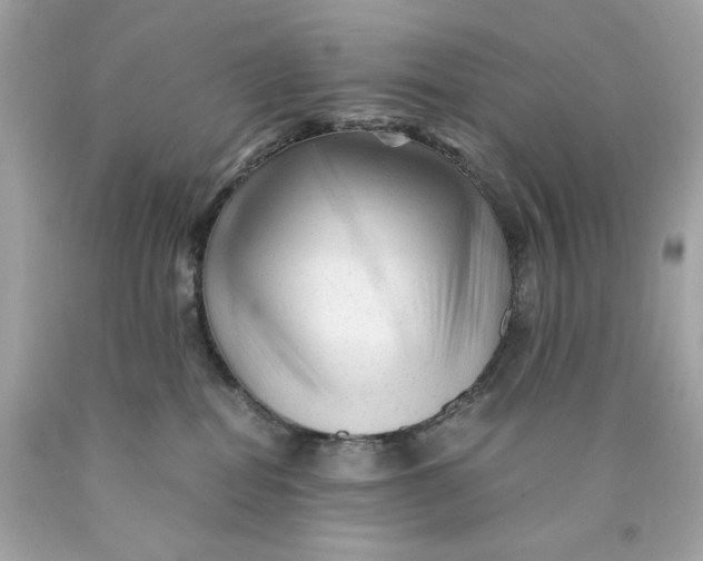 X0000089950282200707201932