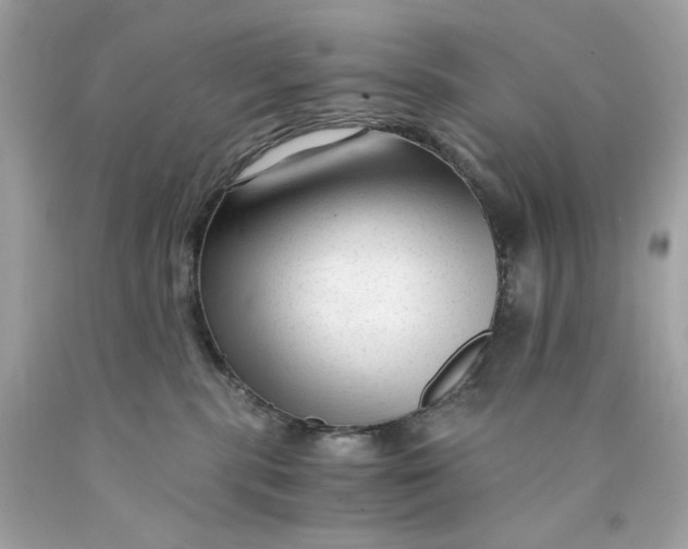 X0000089950283200707201932