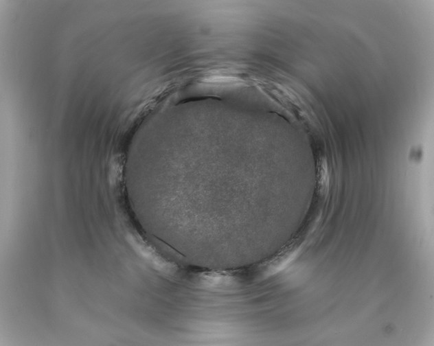 X0000089950284200707201932