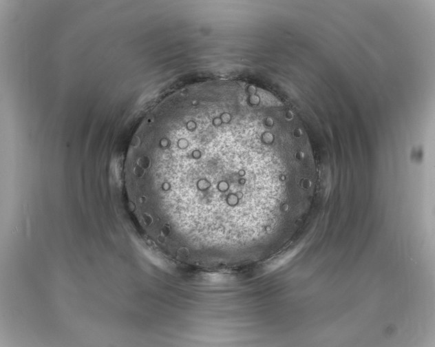 X0000089950286200707201932