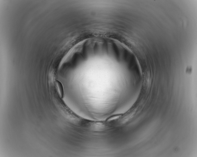 X0000089950287200707201932