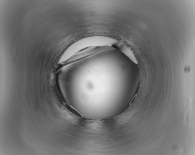 X0000089950288200707201932