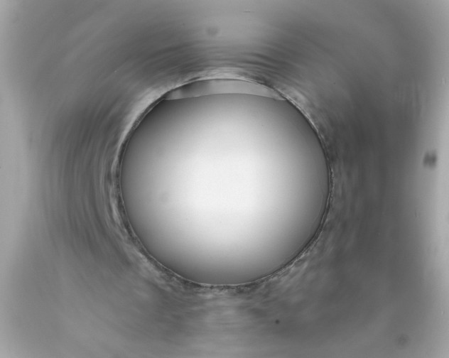 X0000089950289200707201931