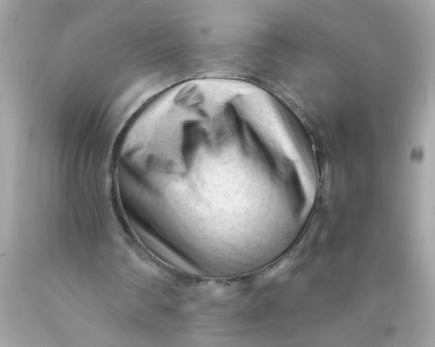 X0000089950290200707201931