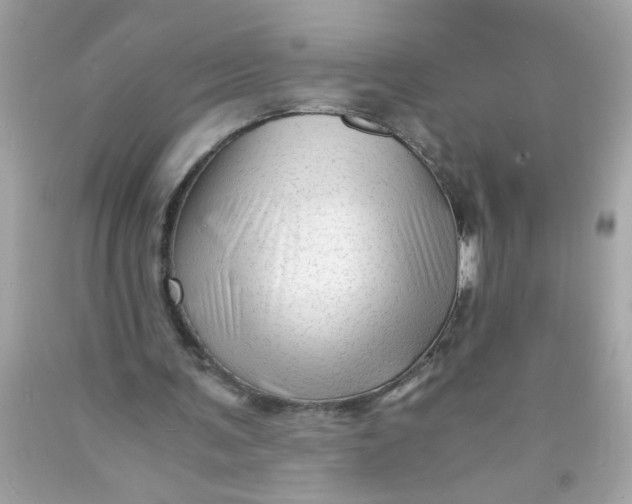 X0000089950291200707201931