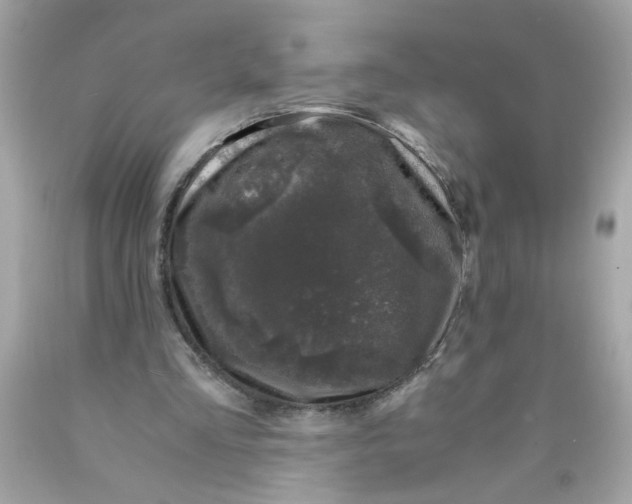 X0000089950293200707201931