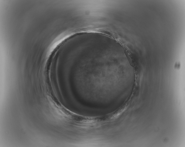 X0000089950295200707201931