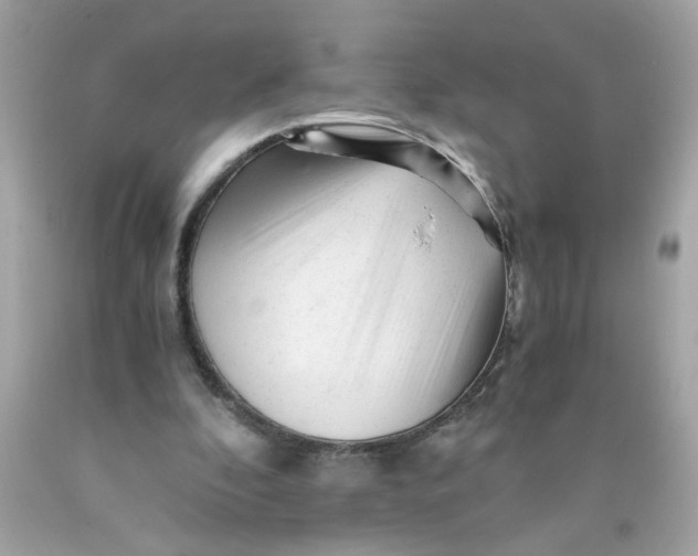 X0000089950296200707201931