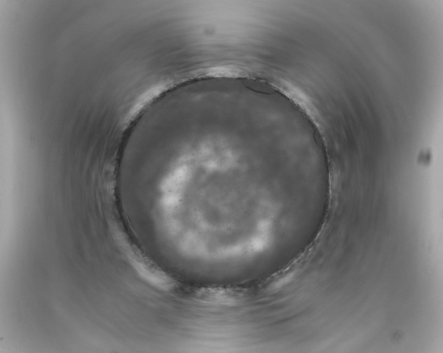 X0000089950297200707201931