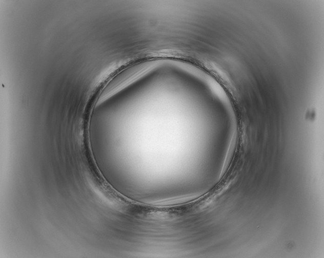 X0000089950298200707201931