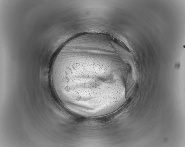 X0000089950299200707201931