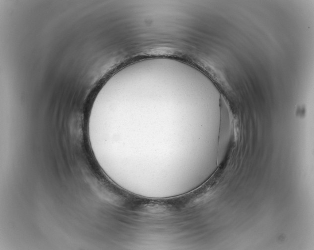 X0000089950300200707201931