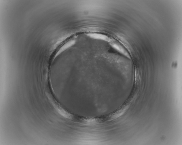 X0000089950301200707201931