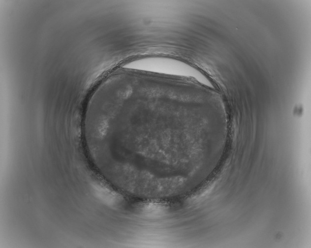 X0000089950303200707201931