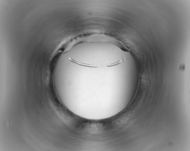 X0000089950304200707201931