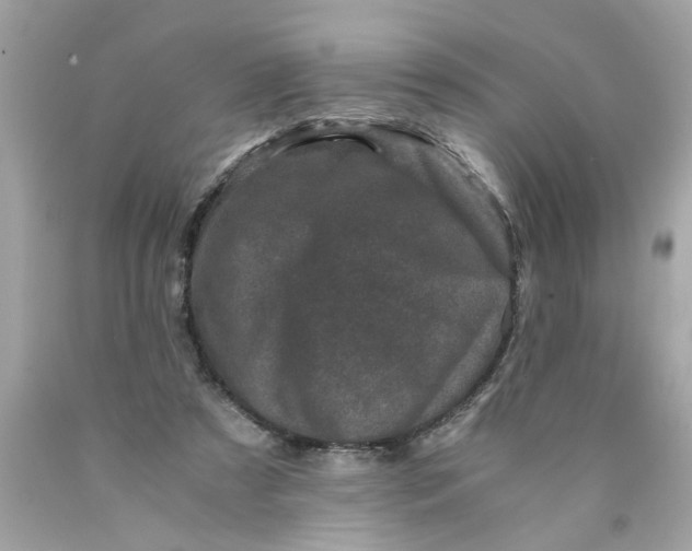 X0000089950305200707201931