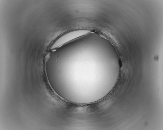 X0000089950306200707201931