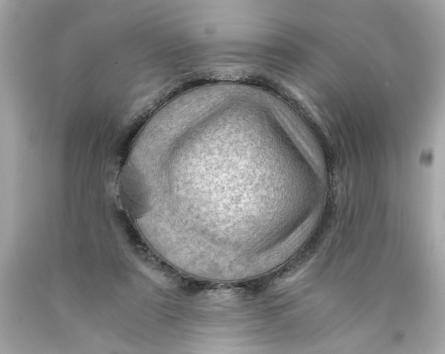 X0000089950307200707201931