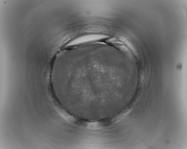 X0000089950309200707201931