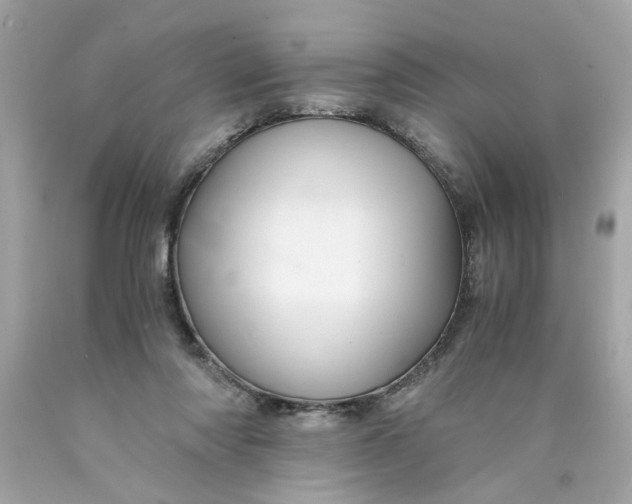 X0000089950310200707201931