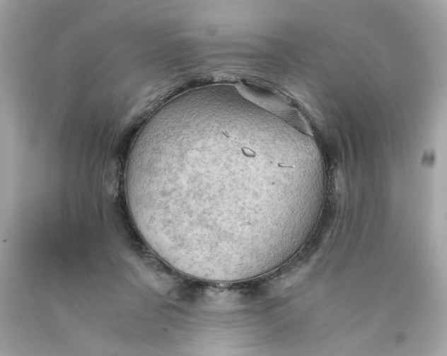 X0000089950311200707201931