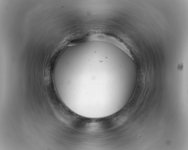 X0000089950312200707201931