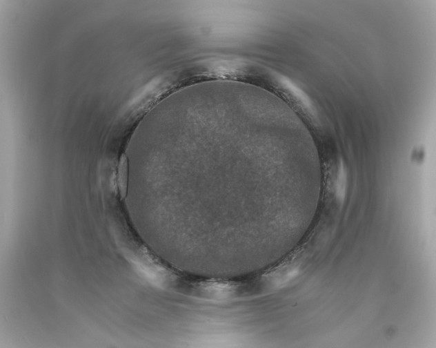 X0000089950313200707201931