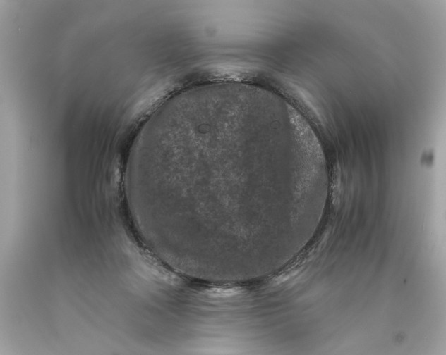 X0000089950314200707201931