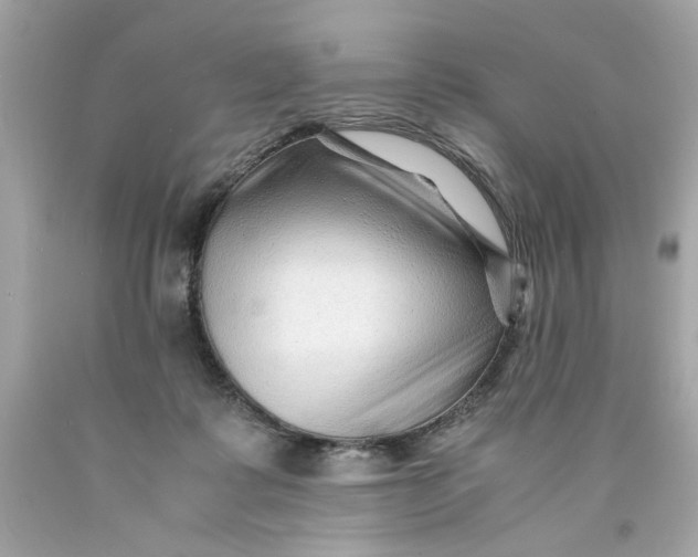 X0000089950315200707201931