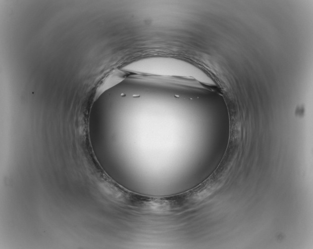 X0000089950317200707201931