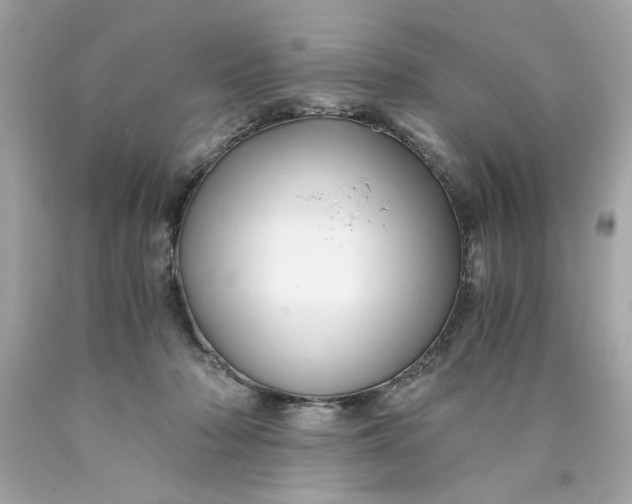 X0000089950318200707201931