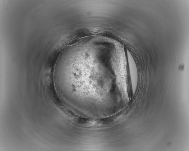 X0000089950319200707201931