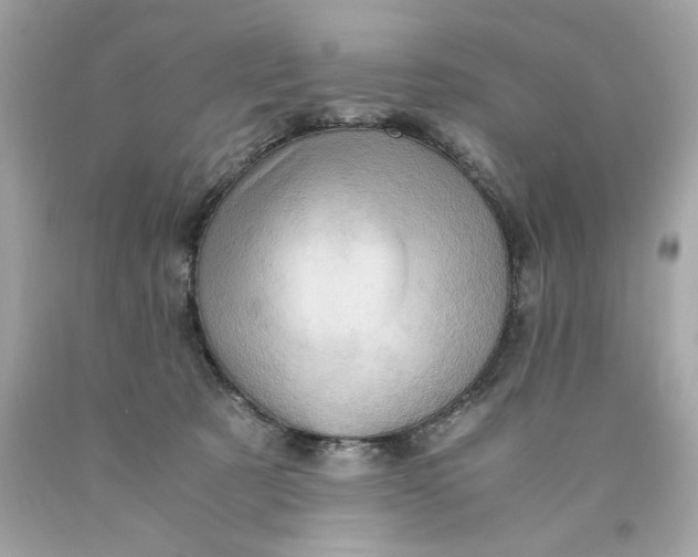 X0000089950321200707201931