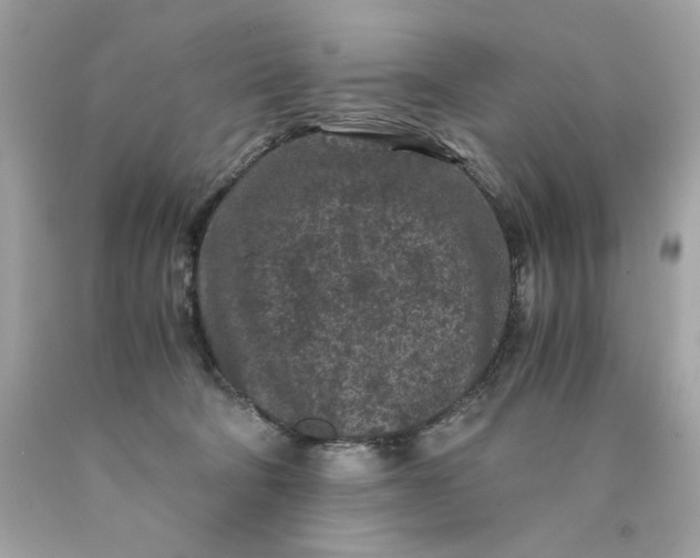 X0000089950322200707201931