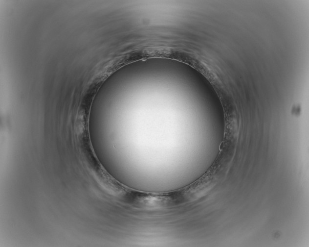 X0000089950323200707201931