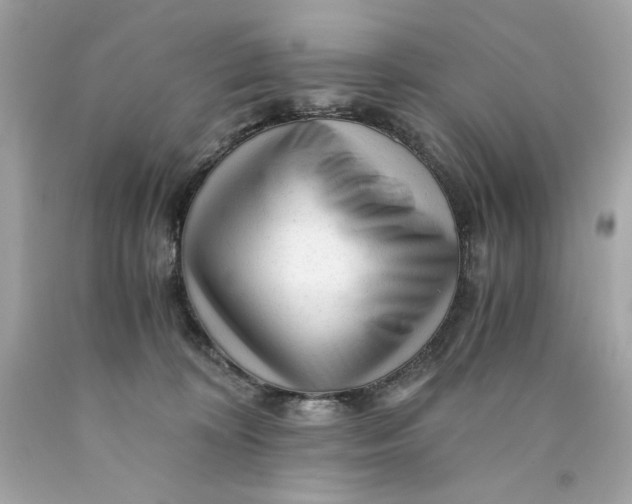 X0000089950324200707201931