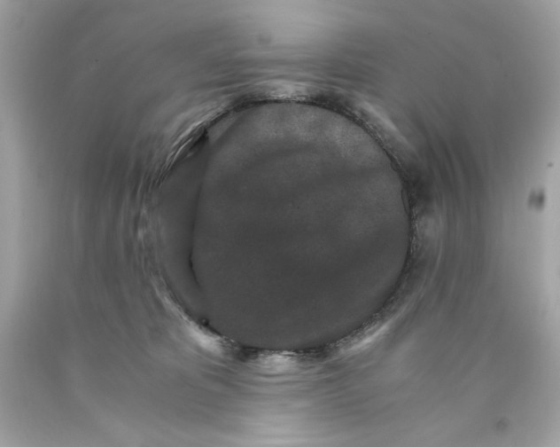 X0000089950325200707201931