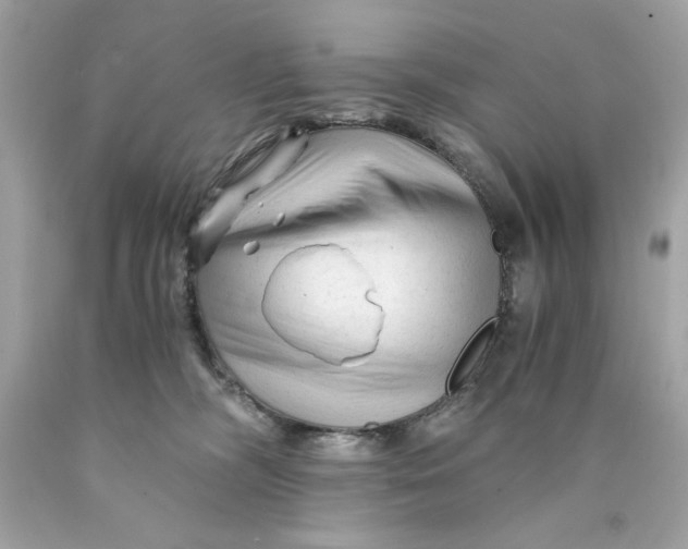 X0000089950326200707201931