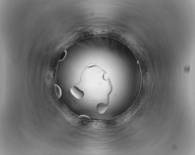 X0000089950327200707201931